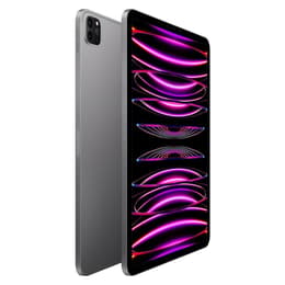 iPad Pro 11" (2022) 4a generazione 1000 GB - WiFi - Grigio Siderale