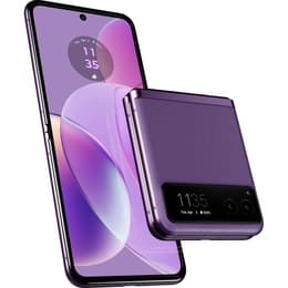 Motorola Razr 40 256GB - Viola