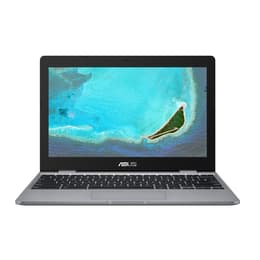 Asus ChromeBook C223 Celeron N3350 1.1 GHz 32GB eMMC - 4GB AZERTY - Francese