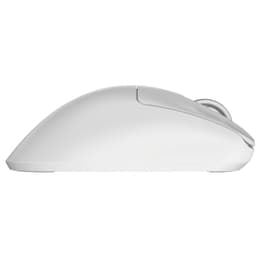 Pulsar Xlite V4 Size 3 Mouse senza fili