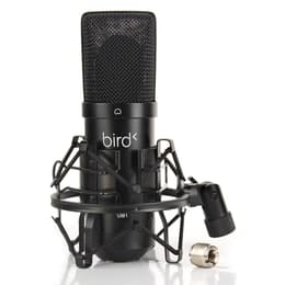 Bird Instruments UM1 Accessori audio