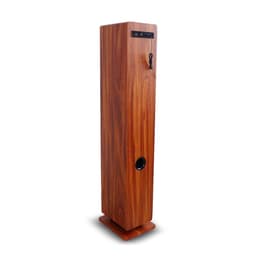 Altoparlanti Bluetooth Inovalley Woodtower - Marrone