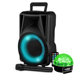 Festisound Karaoké avec USB SD Bluetooth TWS - Micro sans fil Altoparlanti PA