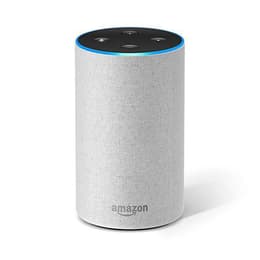 Altoparlanti Bluetooth Amazon Echo - Grigio