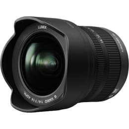 Obiettivi Panasonic Micro 4/3 7-14mm f/4 Micro 4/3 7-14mm f/4