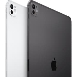 iPad Pro 13 M4 (2024) 7a generazione 256 GB - WiFi - Nero Siderale