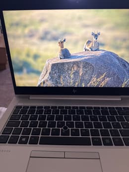 HP ELITEBOOK 830 G5 notebook 13,3 FHD i5-8350U 4x 1,7 GHz 8 GB RAM 256
