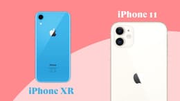 iPhone XR e iPhone 11 a confronto: analisi delle principali differenze