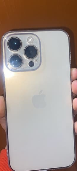 iPhone 14 Pro Max 256GB - Argento | Back Market